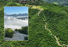 ¿Sabías que México tiene una de las escaleras más largas del mundo? Conoce sus imponentes vistas ¿Sabías que México tiene una de las escaleras más largas del mundo? Conoce sus imponentes vistas