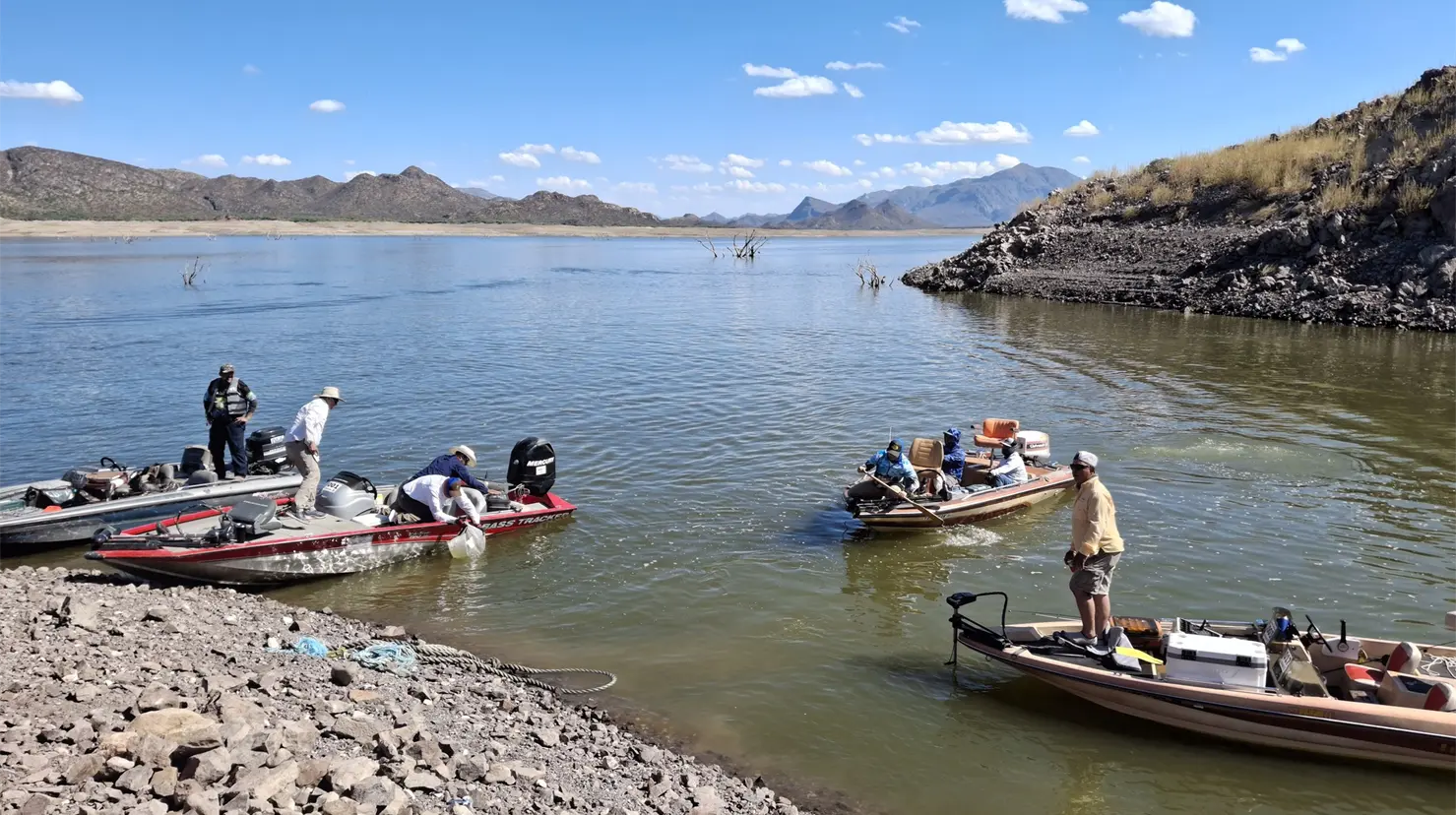 Pesca en presa El Novillo