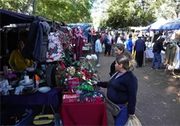 Una fiesta popular, el tianguis
