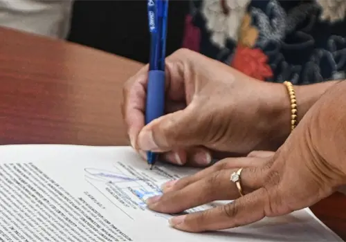 Cajeme empezaría el 2026 con adopciones Cajeme empezaría el 2026 con adopciones