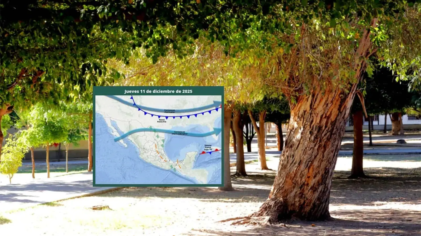 Clima en Hermosillo hoy 11 de diciembre; se pronostican máximas superiores a los 30°C