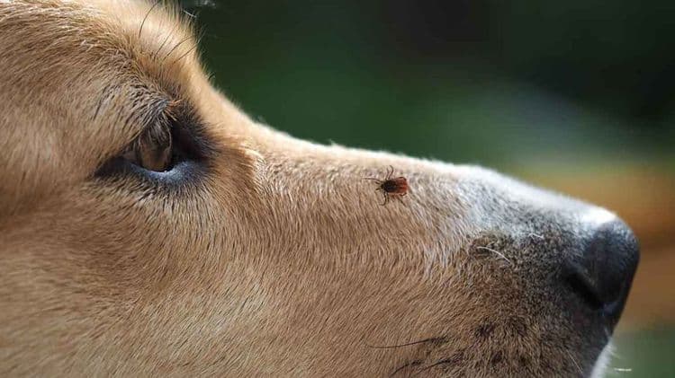 imagen-cuerpo imagen-cuerpo