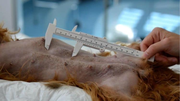 imagen-cuerpo imagen-cuerpo