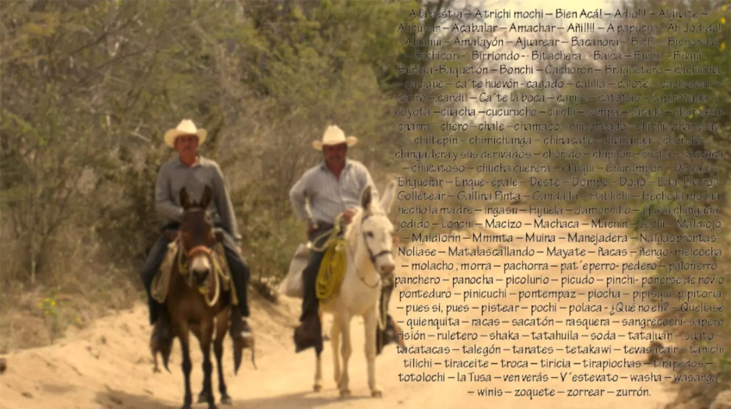 Palabras sonorenses que quizá no conocías, pero que son muy utilizadas en el Estado