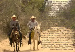 Palabras sonorenses que quizá no conocías, pero que son muy utilizadas en el Estado Palabras sonorenses que quizá no conocías, pero que son muy utilizadas en el Estado