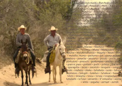 Palabras sonorenses que quizá no conocías, pero que son muy utilizadas en el Estado Palabras sonorenses que quizá no conocías, pero que son muy utilizadas en el Estado