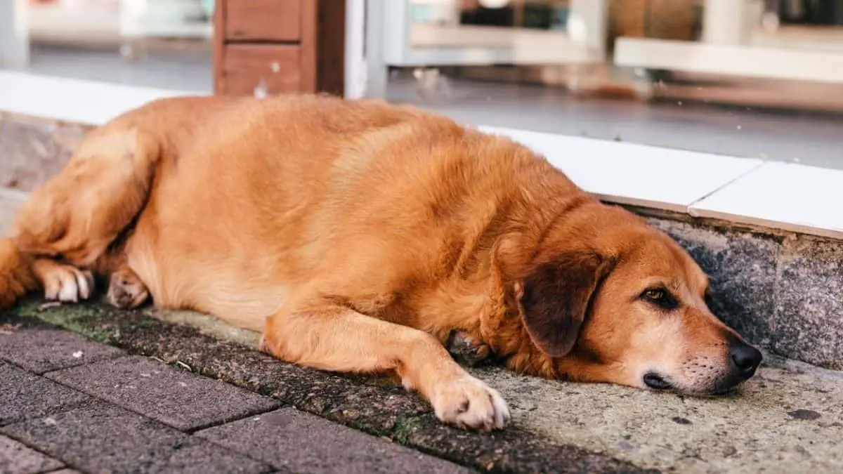 La detección temprana puede evitar complicaciones y mejorar el pronóstico, incluso en enfermedades raras.