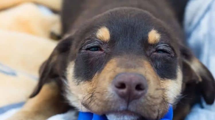 imagen-cuerpo imagen-cuerpo