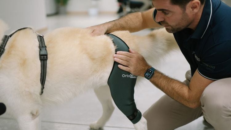 imagen-cuerpo imagen-cuerpo