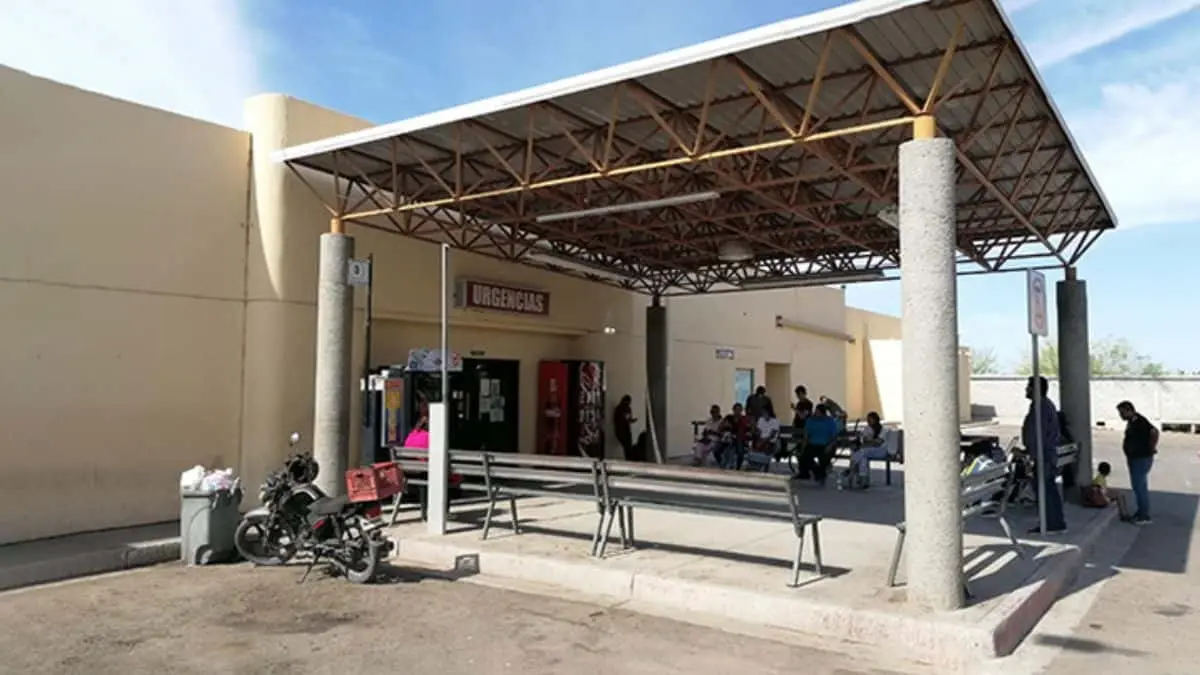 Rickettsia cobra vidas en Etchojoa y Benito Juárez