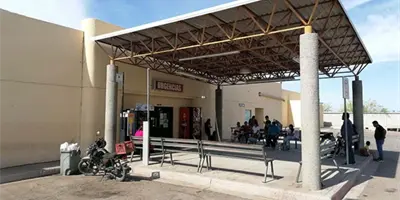 Rickettsia cobra vidas en Etchojoa y Benito Juárez Rickettsia cobra vidas en Etchojoa y Benito Juárez