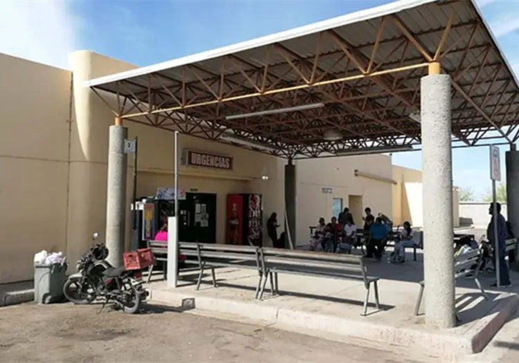 Rickettsia cobra vidas en Etchojoa y Benito Juárez