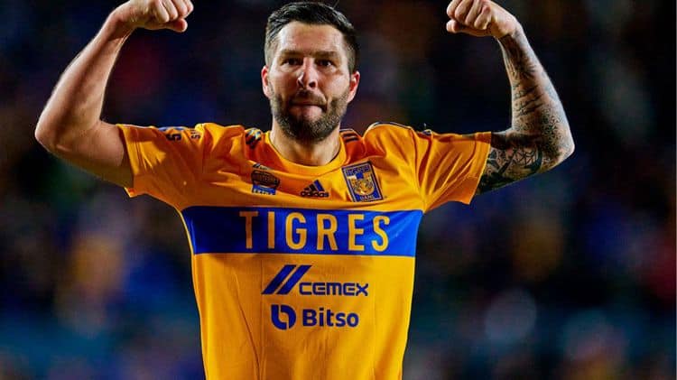 imagen-cuerpo imagen-cuerpo