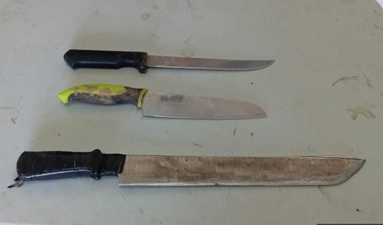 imagen-cuerpo imagen-cuerpo