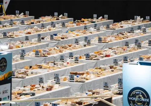 Estos son los tipos de quesos favoritos de los mexicanos Estos son los tipos de quesos favoritos de los mexicanos