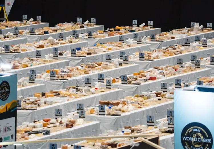 Estos son los tipos de quesos favoritos de los mexicanos