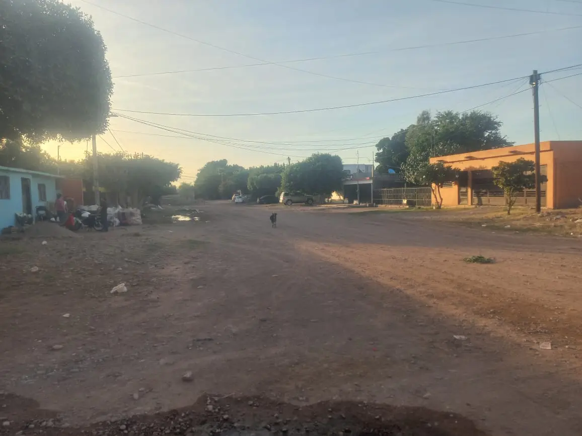 Sigue problemática de perros callejeros en Nueva Esperanza