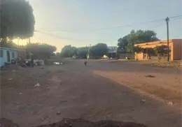 Sigue problemática de perros callejeros en Nueva Esperanza Sigue problemática de perros callejeros en Nueva Esperanza