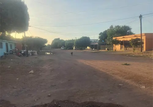 Sigue problemática de perros callejeros en Nueva Esperanza Sigue problemática de perros callejeros en Nueva Esperanza