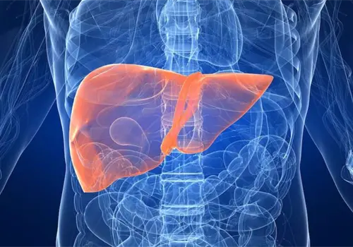 Así puedes eliminar la grasa del hígado de forma segura, según los expertos Así puedes eliminar la grasa del hígado de forma segura, según los expertos