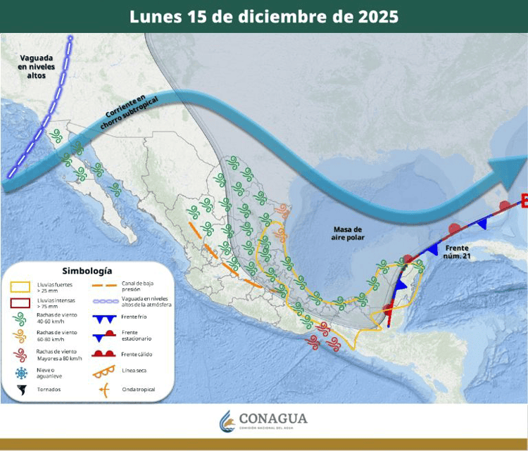 imagen-cuerpo imagen-cuerpo