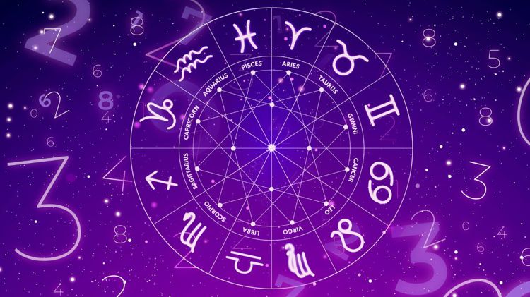 imagen-cuerpo imagen-cuerpo