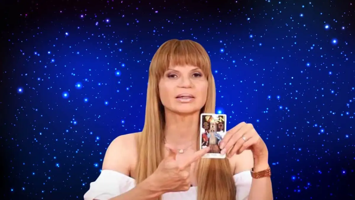 Hor&oacute;scopos de Mhoni Vidente hoy 15 de diciembre: descubre lo que el destino tiene preparado para tu signo