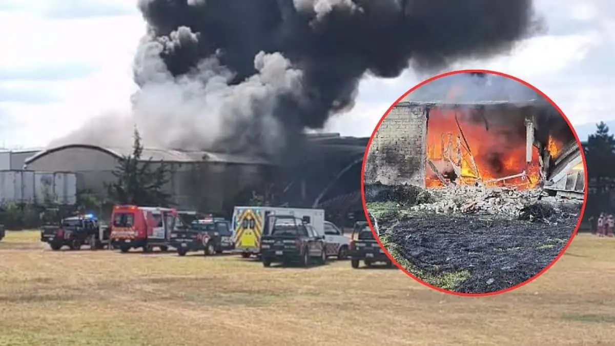 Una avioneta privada se desplom&oacute; la tarde de este lunes 15 de diciembre de 2025 en la colonia San Pedro Totoltepec