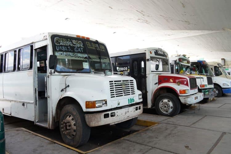 imagen-cuerpo imagen-cuerpo