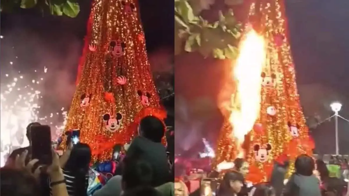 La estructura y la decoraci&oacute;n estaban elaborados con materiales altamente inflamables