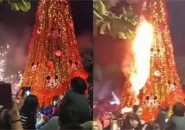 Árbol navideño se incendia en segundos tras caer pirotecnia en San Vicente Árbol navideño se incendia en segundos tras caer pirotecnia en San Vicente