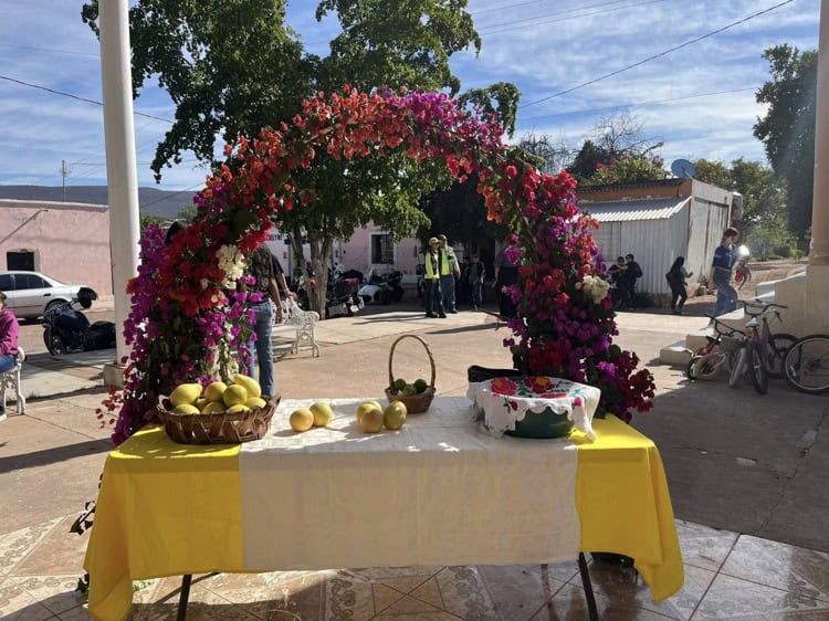 imagen-cuerpo imagen-cuerpo