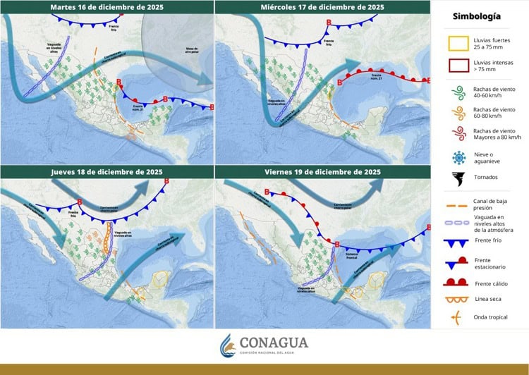 imagen-cuerpo imagen-cuerpo