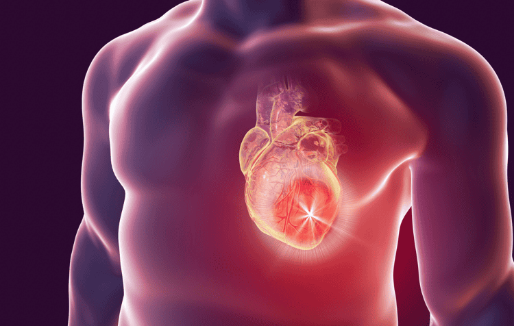 imagen-cuerpo imagen-cuerpo