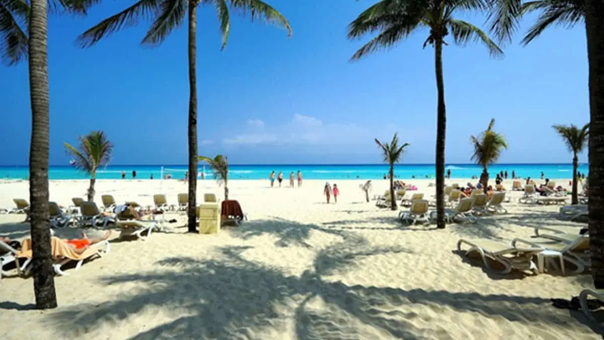 Qué hacer en Playa del Carmen: tu guía definitiva