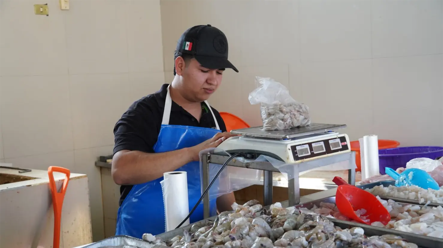 Mejora variedad de especies marinas en Cajeme