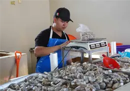 Mejora variedad de especies marinas en Cajeme