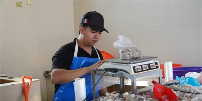 Mejora variedad de especies marinas en Cajeme