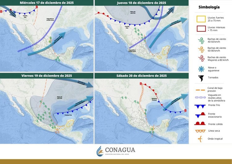 imagen-cuerpo imagen-cuerpo