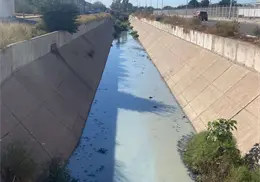 Denuncian Dren Navojoa, es un foco de infecci&oacute;n y proliferaci&oacute;n de moscos