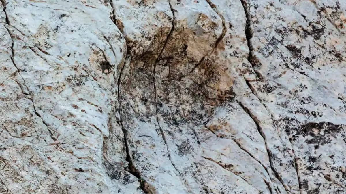 Fot&oacute;grafo descubre huellas de dinosaurios de hace 210 millones de a&ntilde;os en un parque italiano