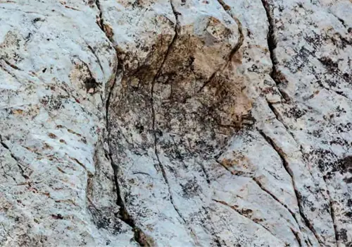 Fotógrafo descubre huellas de dinosaurios de hace 210 millones de años en un parque italiano Fotógrafo descubre huellas de dinosaurios de hace 210 millones de años en un parque italiano