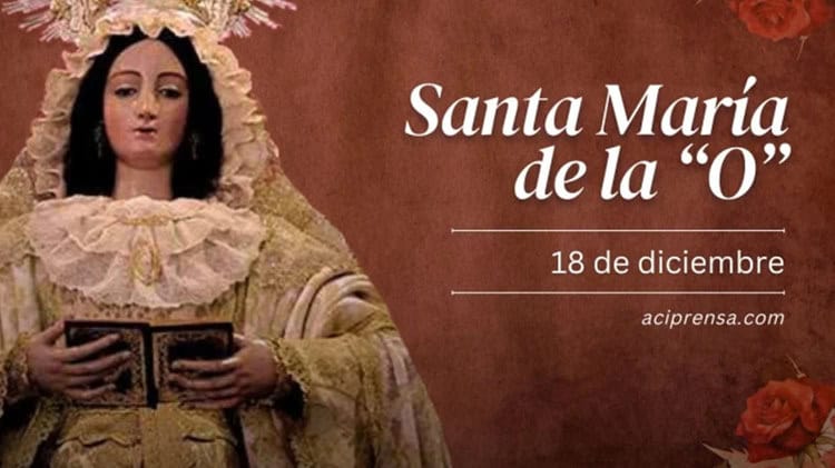 imagen-cuerpo imagen-cuerpo