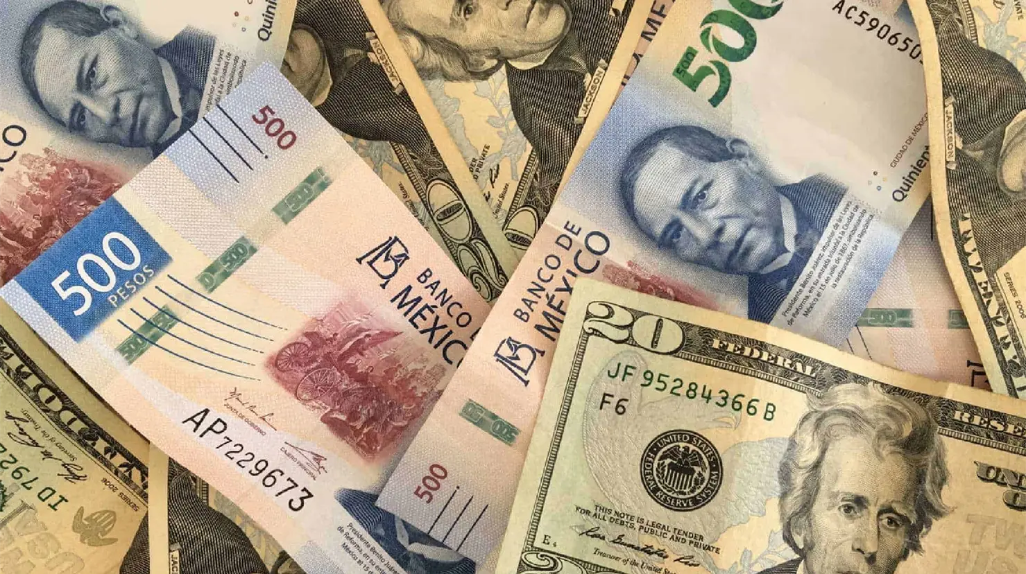 Precio del d&oacute;lar hoy viernes 19 de diciembre: As&iacute; cerr&oacute; el tipo de cambio