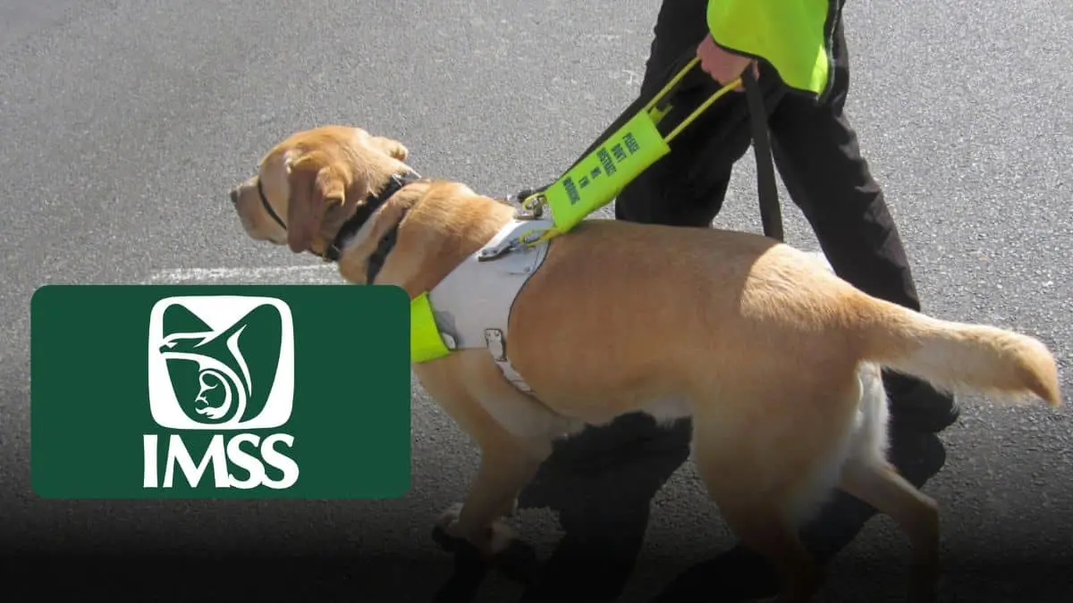 Esta estrategia es un modelo de atención enfocado en la inclusión y el trato digno