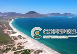 Cofepris: 6 playas que no son seguras para nadar estas vacaciones de invierno; 2 están en Sonora Cofepris: 6 playas que no son seguras para nadar estas vacaciones de invierno; 2 están en Sonora