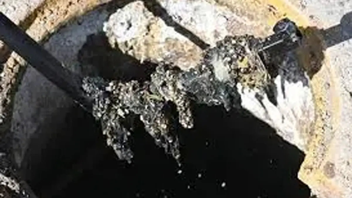 Oomapasc reitera el llamado a no arrojar toallas húmedas al drenaje