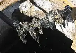 Oomapasc reitera el llamado a no arrojar toallas húmedas al drenaje Oomapasc reitera el llamado a no arrojar toallas húmedas al drenaje