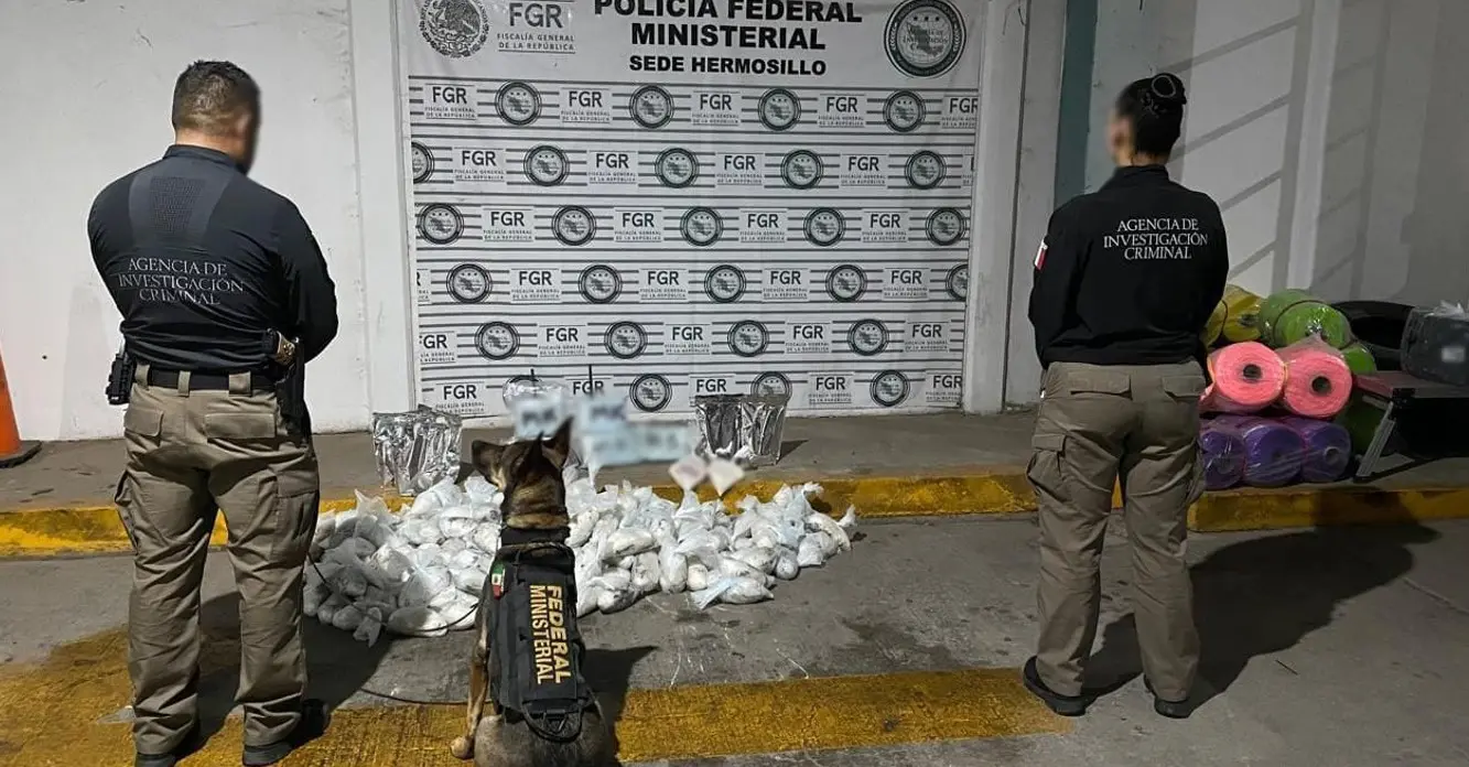 Decomisan cargamento de droga en Hermosillo