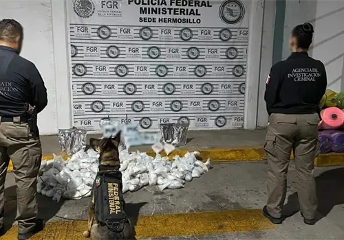 Decomisan cargamento de droga en Hermosillo